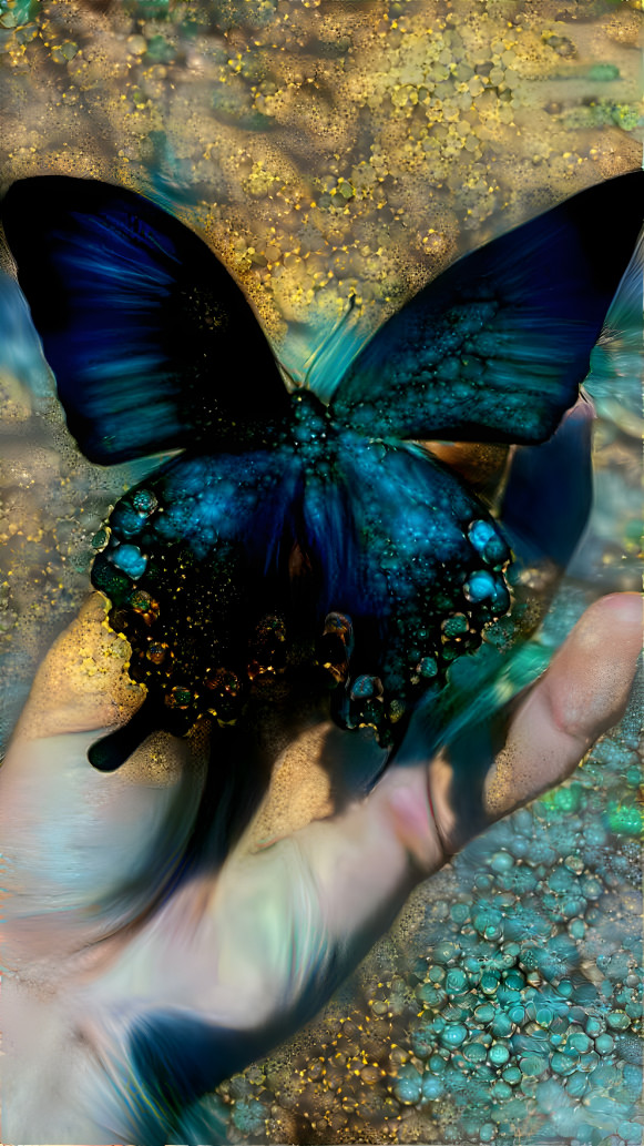 Butterfly 