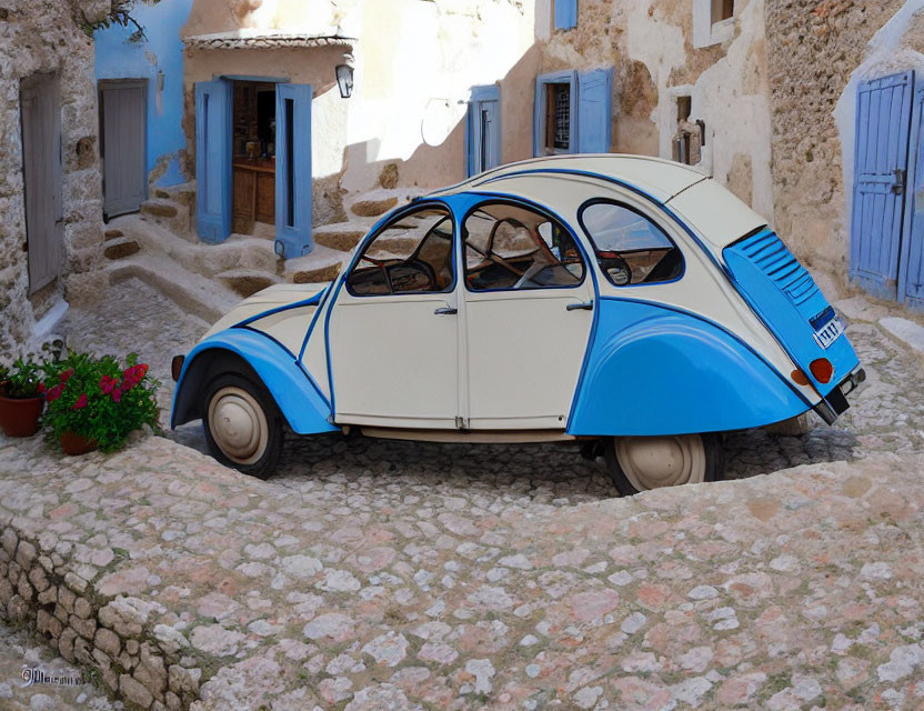 Vintage Blue and White Car on Cobblestone Street with Red Flower