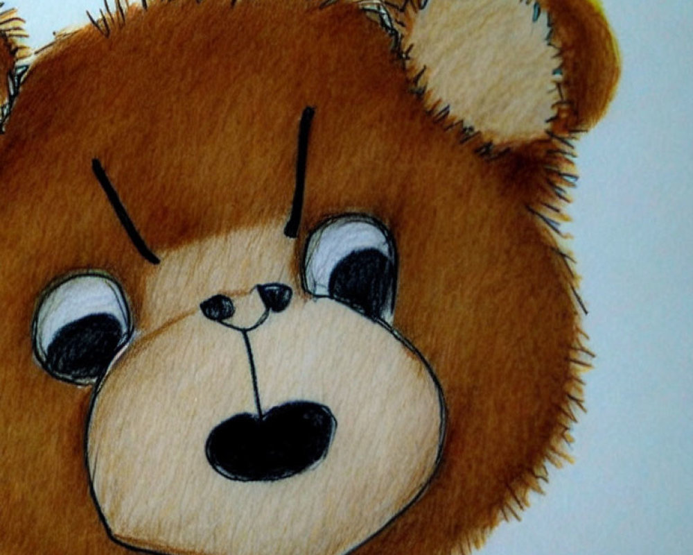 Chubby brown cartoon bear with black nose and quizzical expression