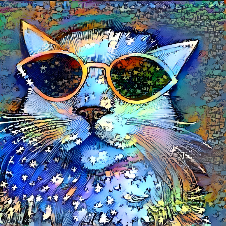 Cool cat