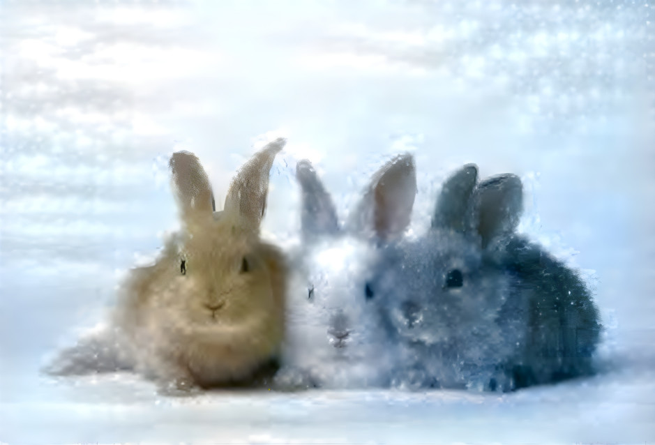 Snow bunny’s 