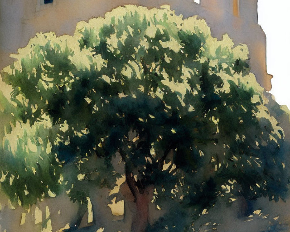 Green tree casting shadow on sunlit path with building and blue sky