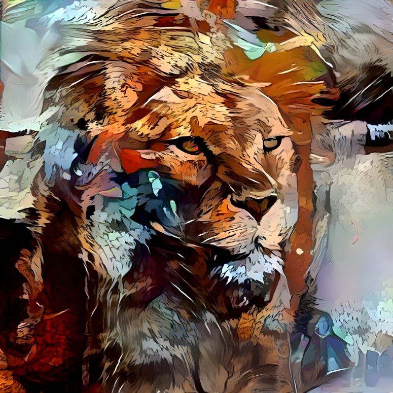 lion