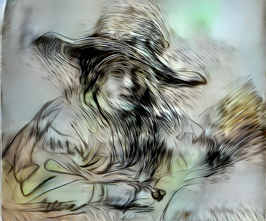 Yoing girl in a hat, inspired by Rembrandt