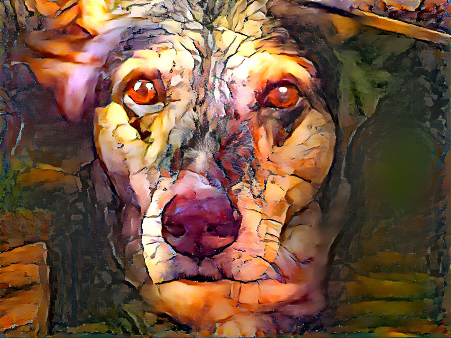 Fractal Hound