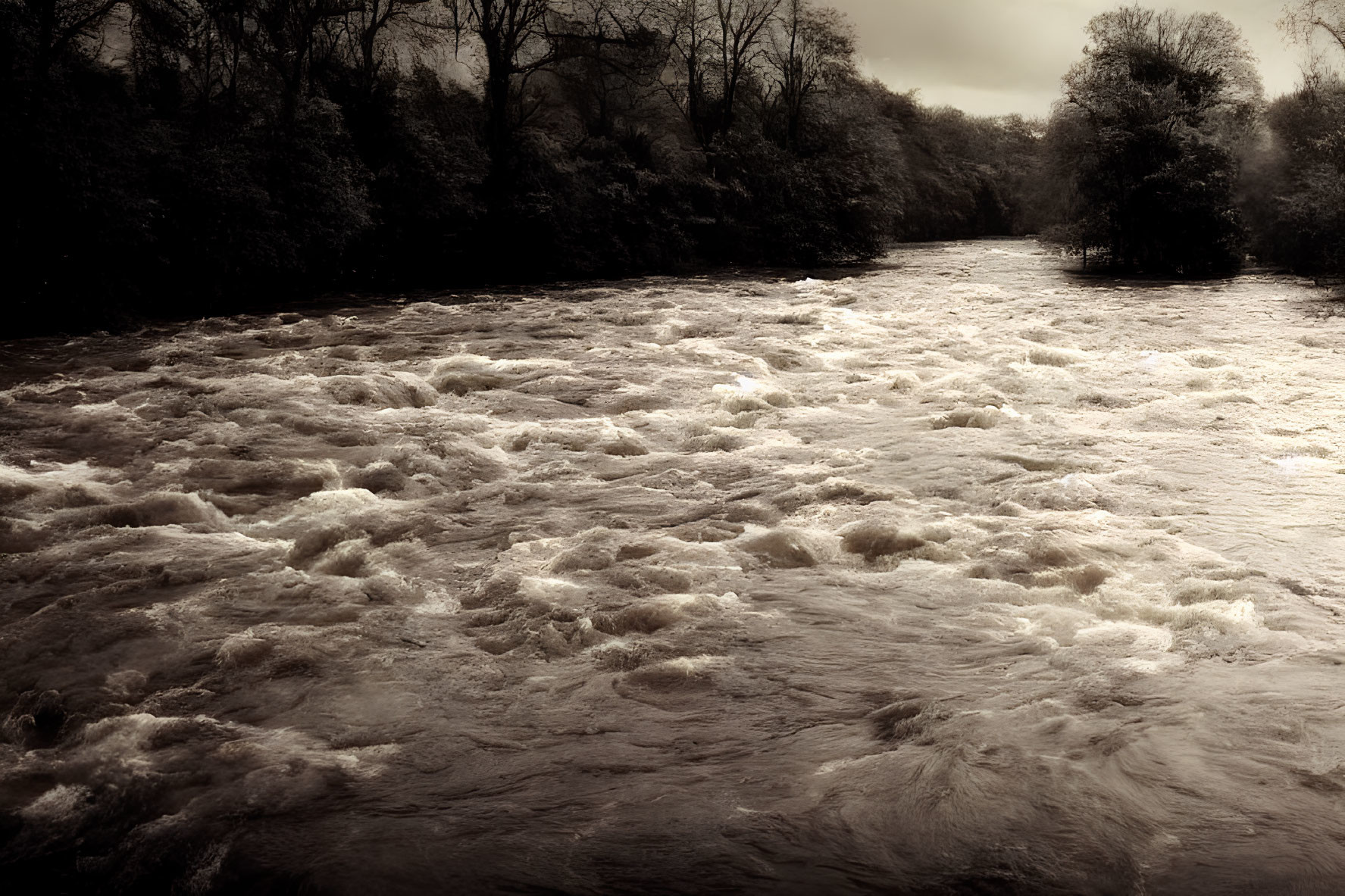 Monochrome image of turbulent river with frothy waters and dense trees