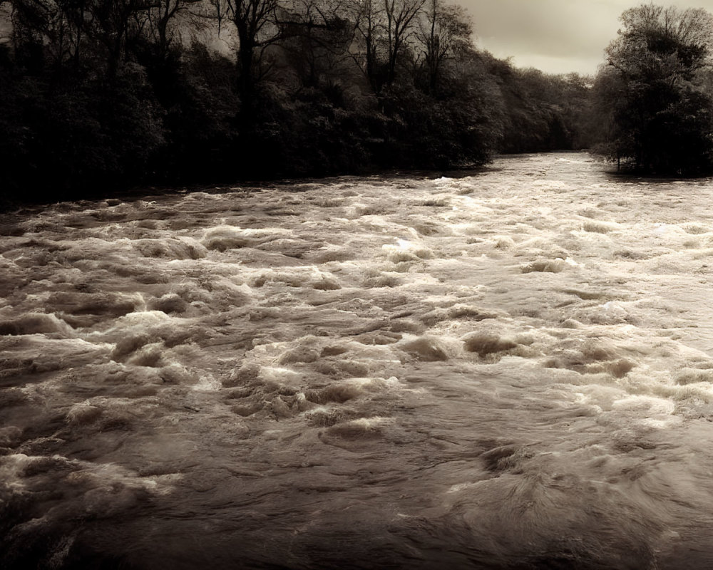 Monochrome image of turbulent river with frothy waters and dense trees