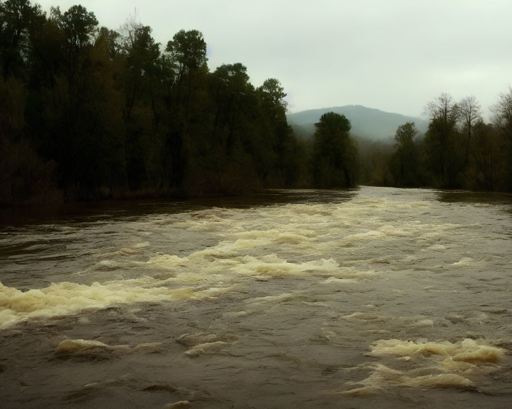 Swollen muddy river with turbulent waters under gloomy sky