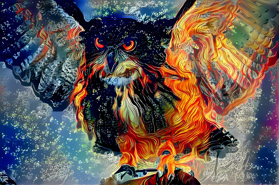 Owl