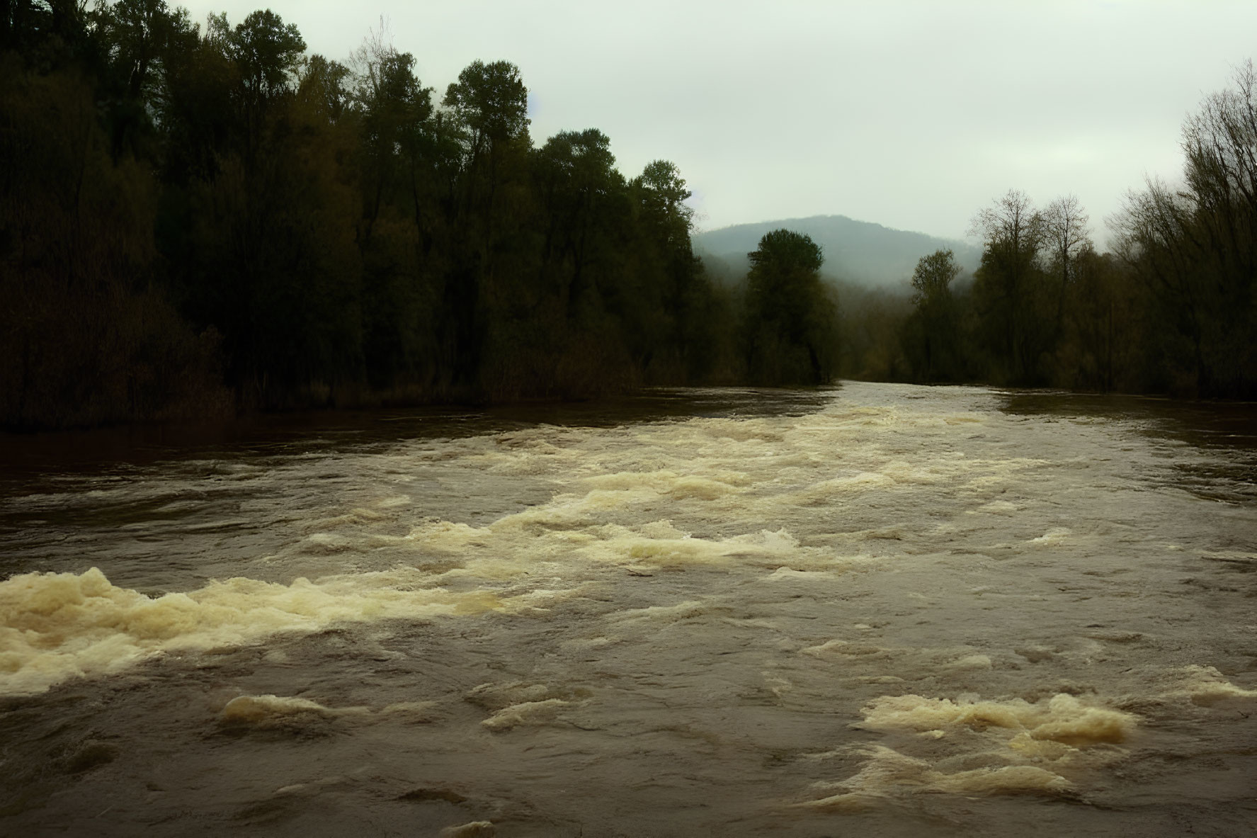 Swollen muddy river with turbulent waters under gloomy sky