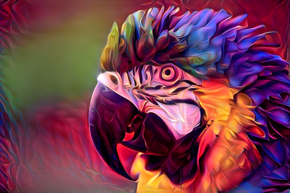 Styled parrot