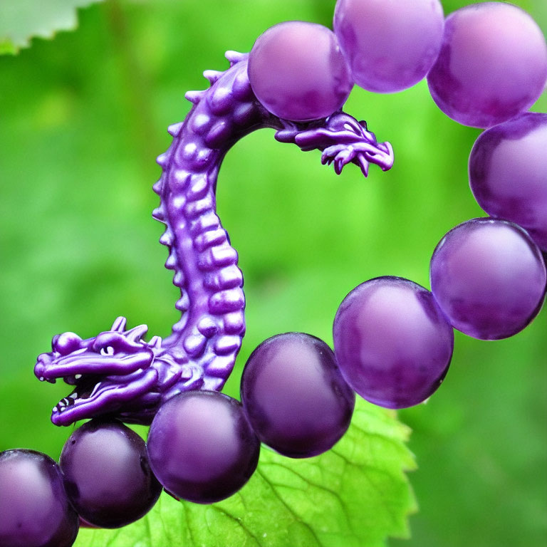 Purple Dragon merges with grapevines in green leafy background