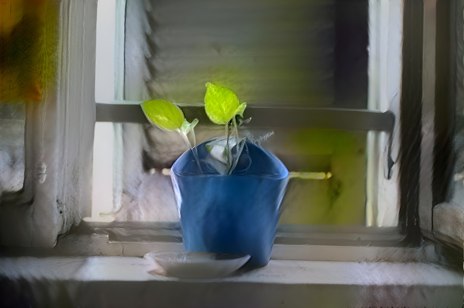 window plant