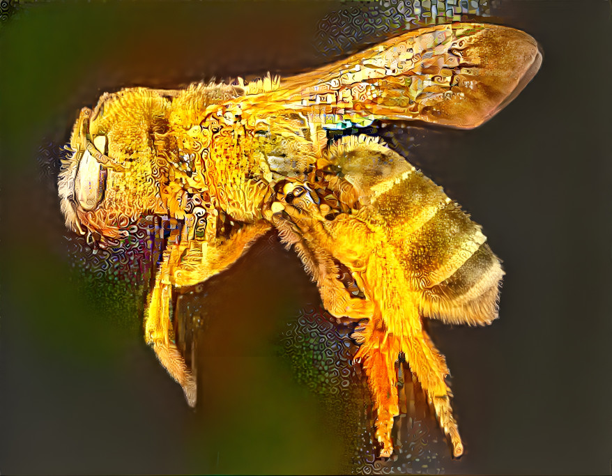 Klimty Bee