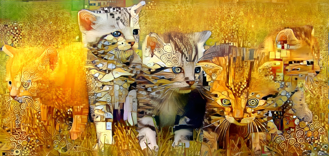 5 Kats Klimty