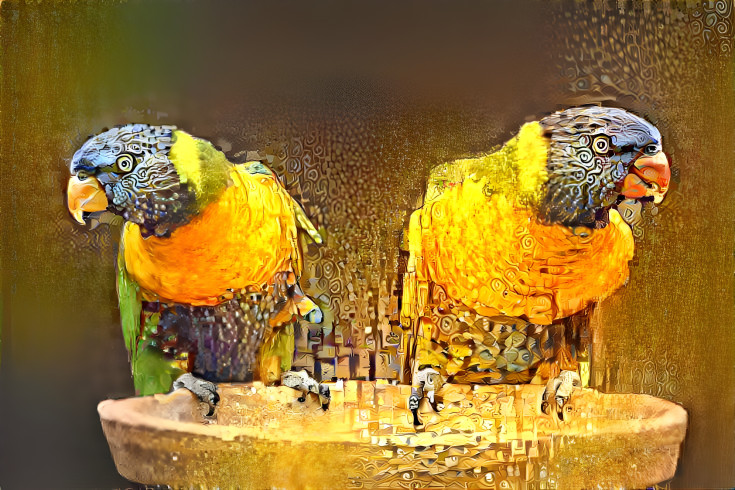 two parrots continuum Klimty