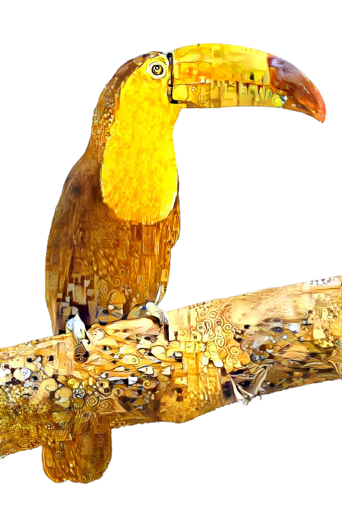 Toucan Klimty on a Log