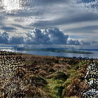 Dramatic landscape: cloudy sky, water, mountains, wildflowers