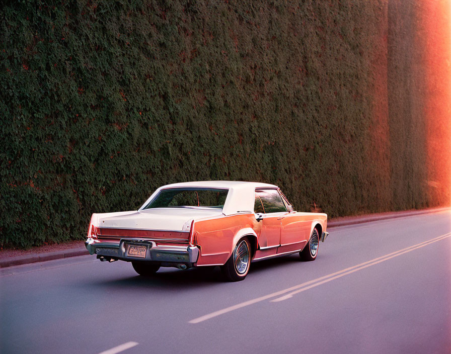 Classic Car Parked by Tall Hedge at Sunset