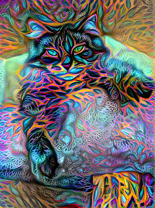 Psychedelic Sammy