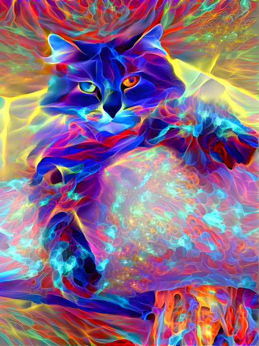 Flaming Feline