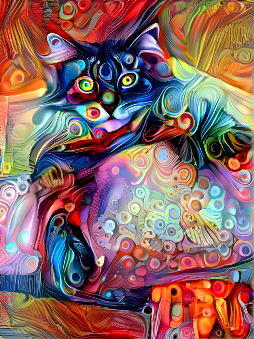 Psychedelic Crazy Cat