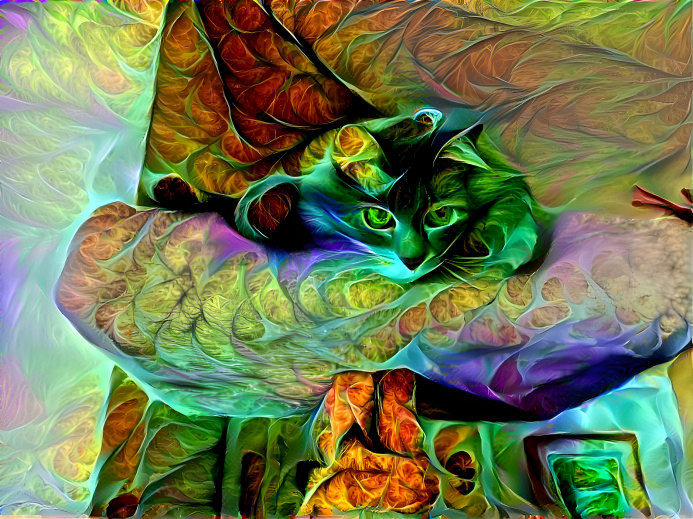 swishy psychedelic cat