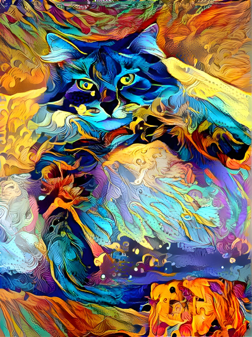 Flowering Feline