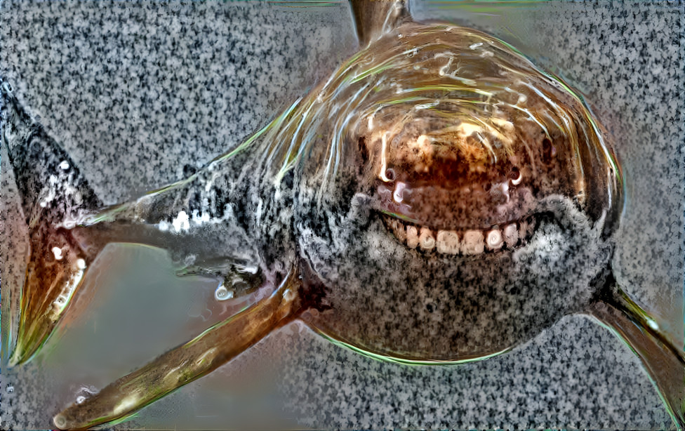 Shark in petri