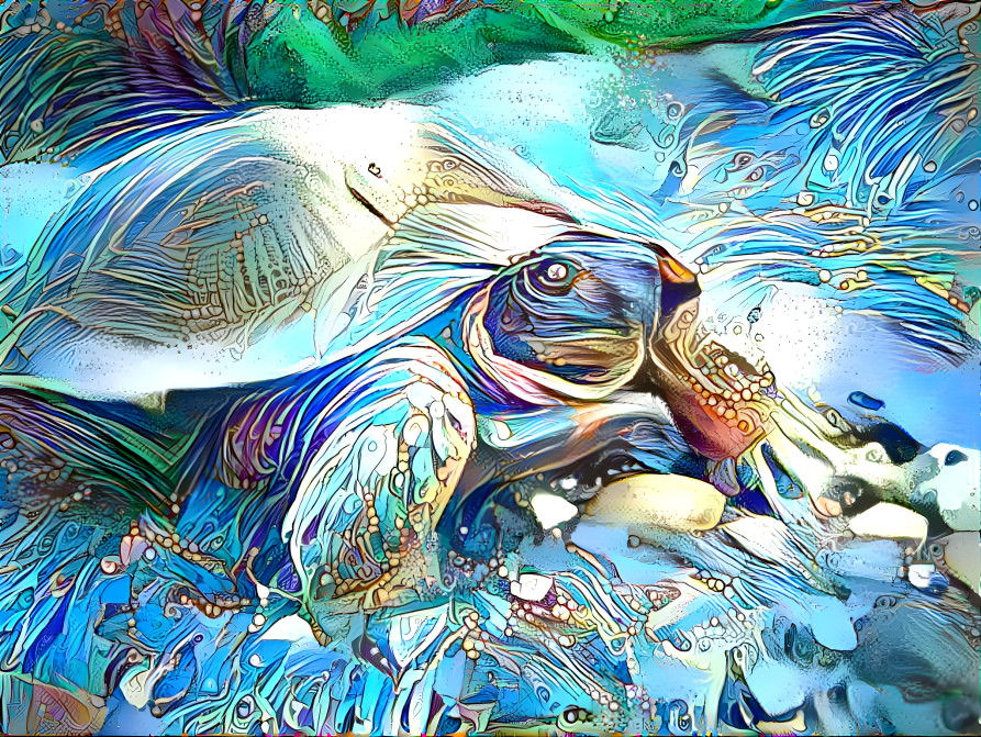 TechnoTurtle