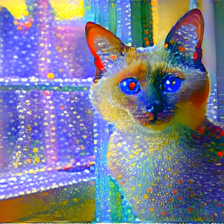 a cat in stardust