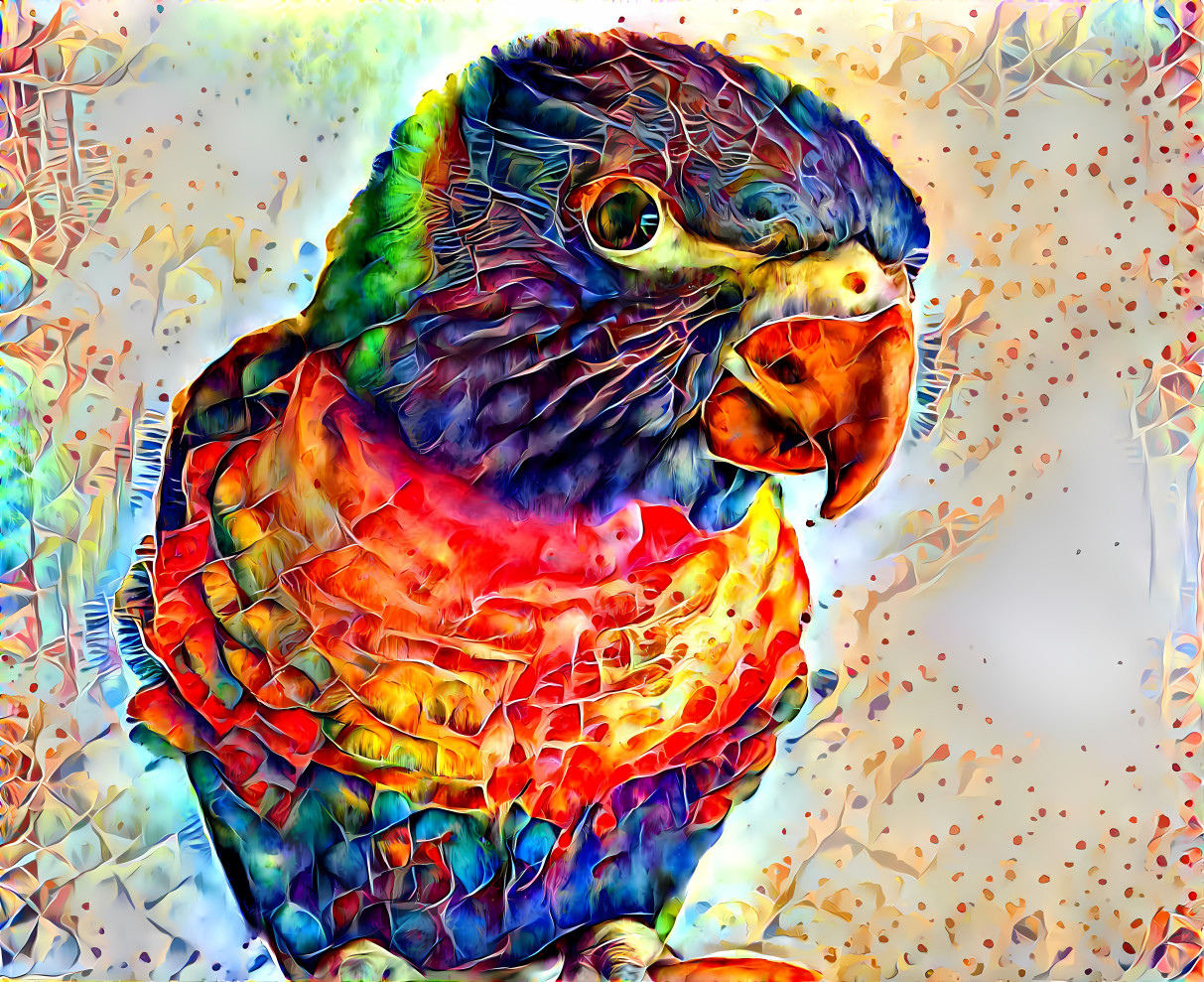 parrot