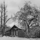 Grayscale image of eerie, dilapidated house & leafless trees in misty sky