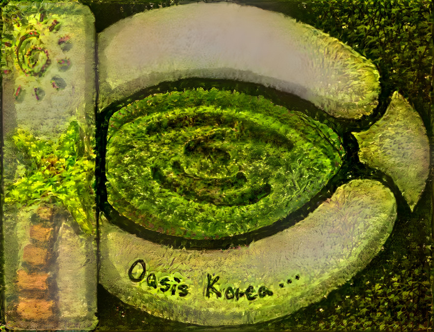 oasis korea