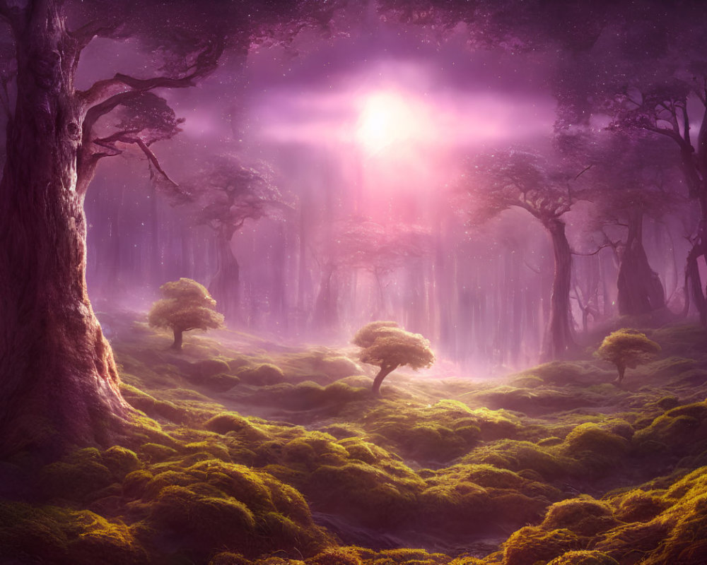 Enchanting forest scene with purple light and glowing center