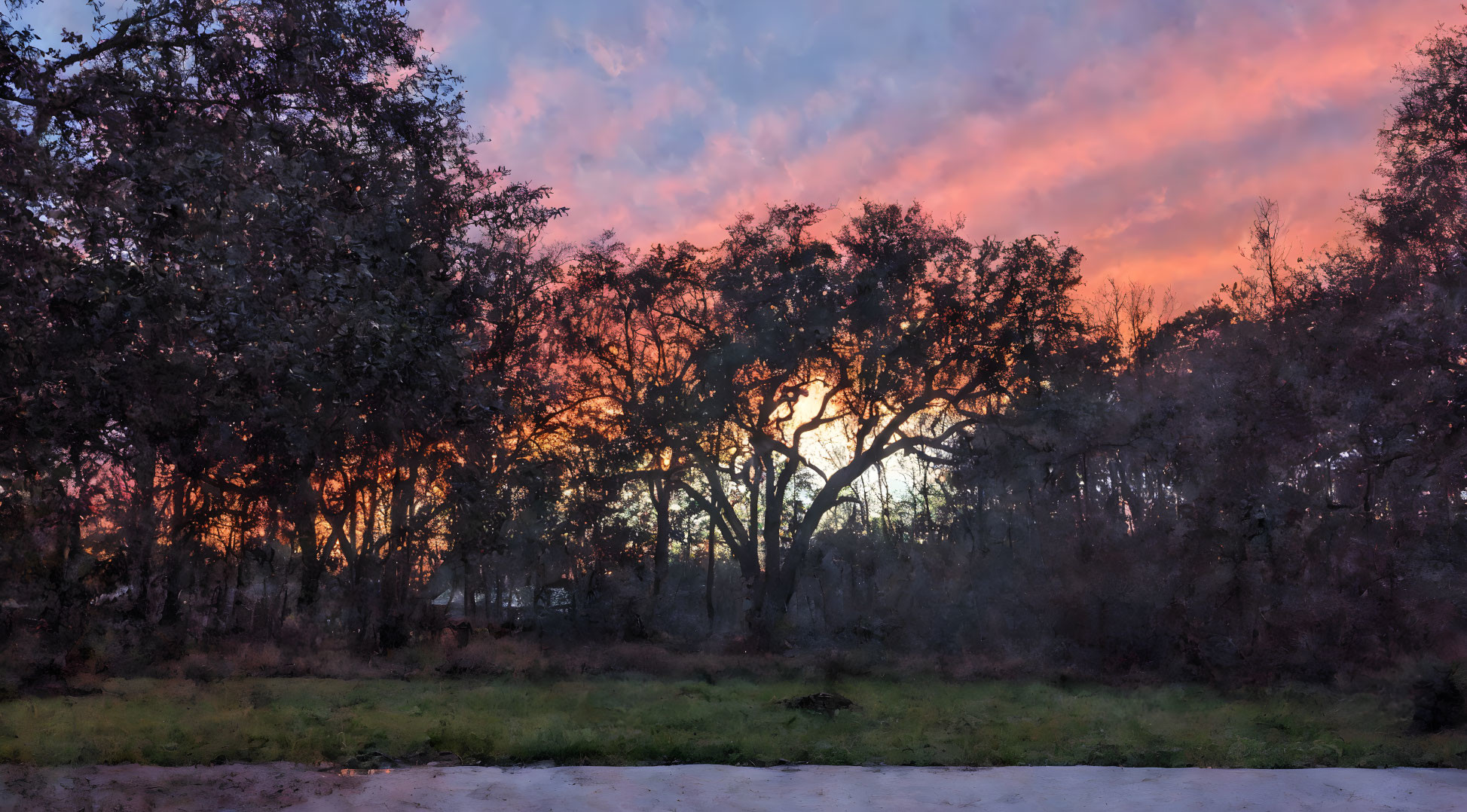 Vibrant forest dusk scene with silhouetted trees and colorful sky