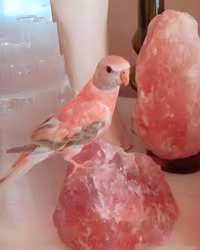 Rose quarts bird 