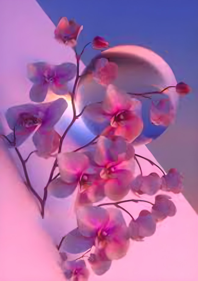 orchid aesthetic 