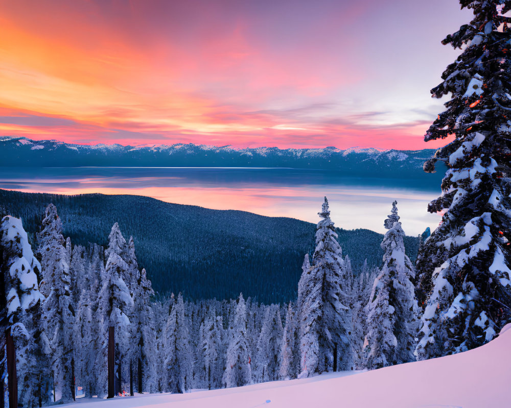 Colorful Sunset Reflecting on Snowy Pine Trees and Lake