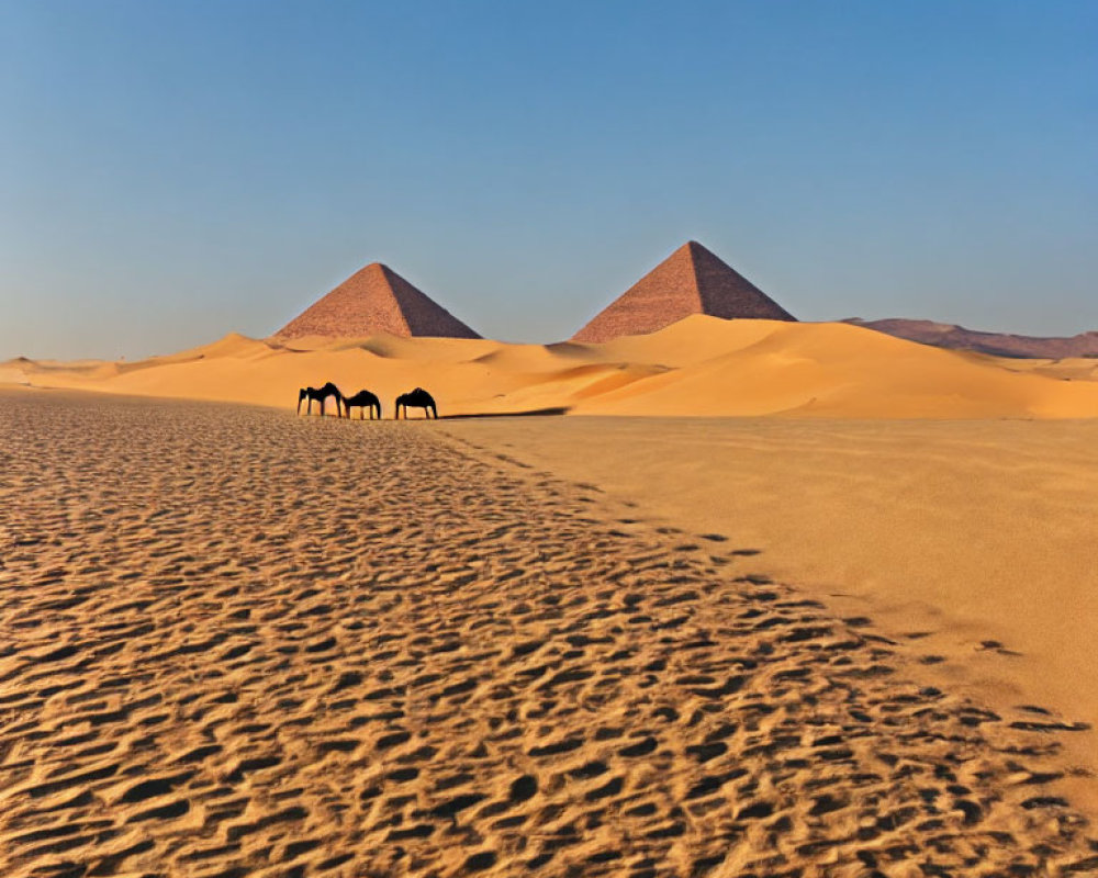 Desert landscape with camel caravan, pyramids, and blue sky.