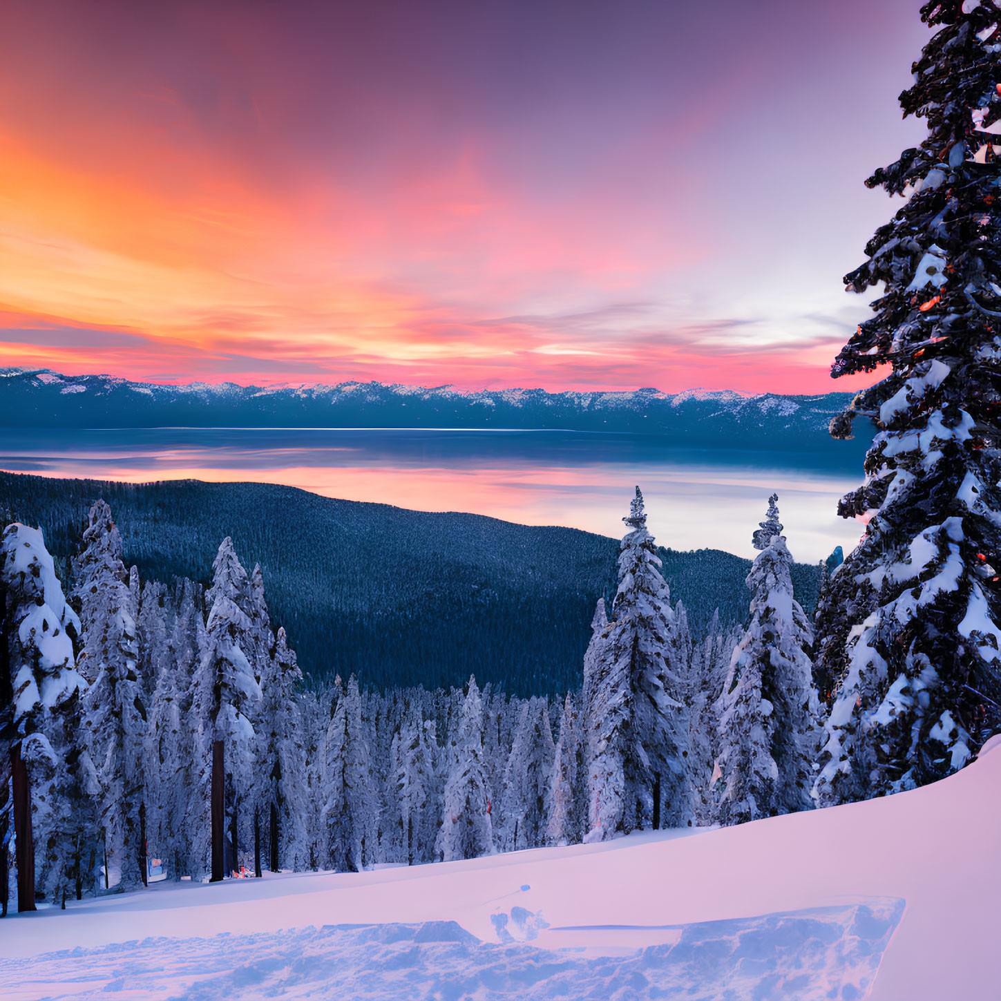 Colorful Sunset Reflecting on Snowy Pine Trees and Lake