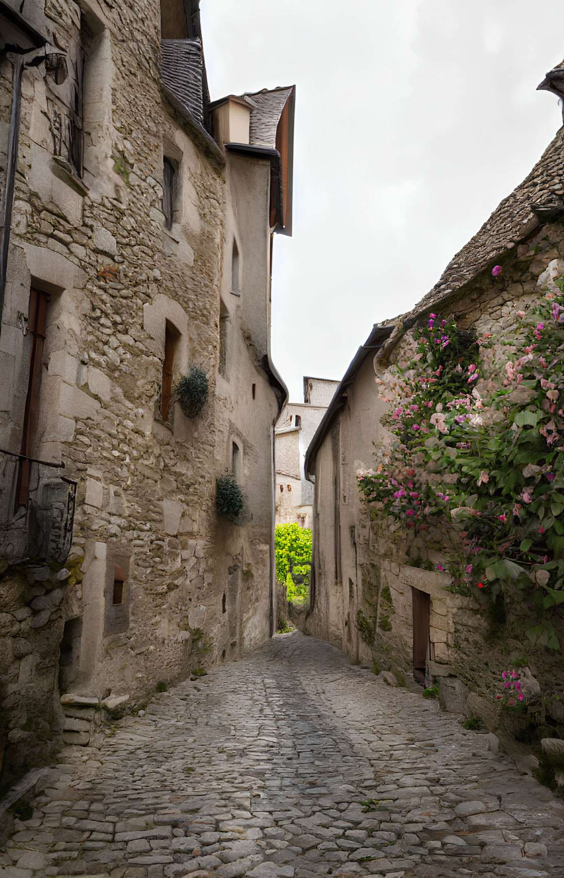 Old Stone Buildings and Cobblestone Alley with Flowering Plants