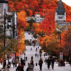 Autumn Scene: Vibrant Leaves, Cobblestone Street, Pedestrians