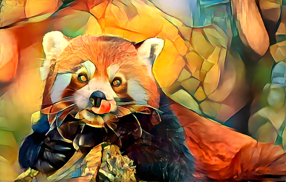 Red Panda