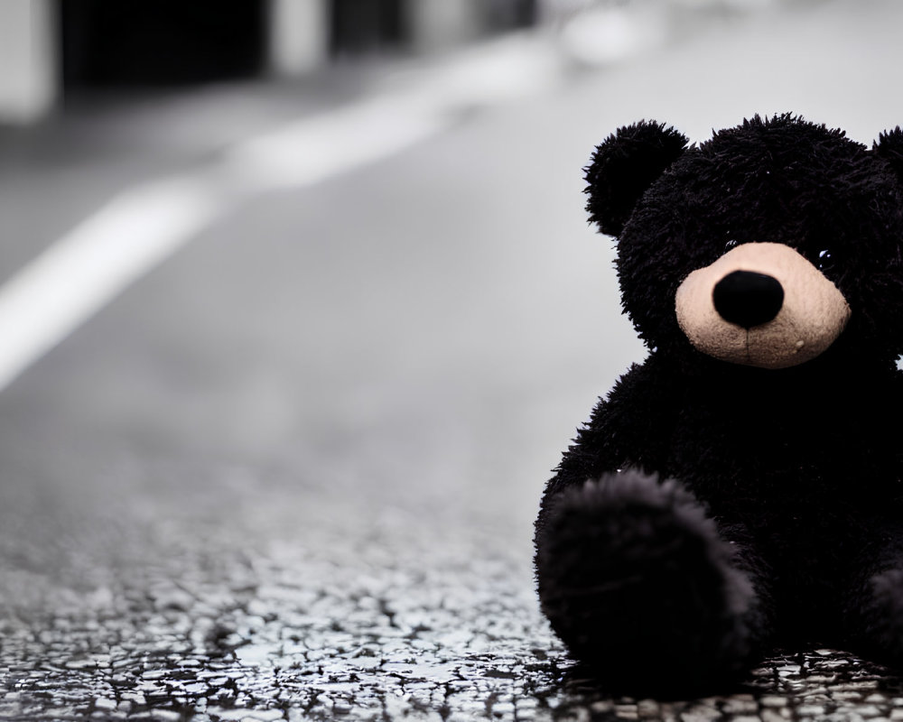 Black plush teddy bear on wet asphalt road with white road markings