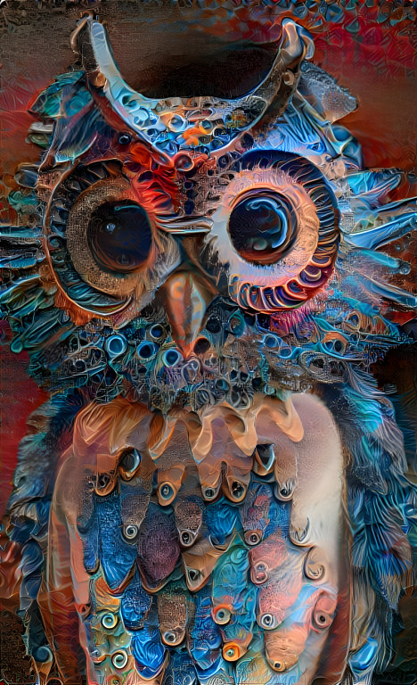 Owl