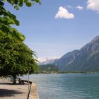 Tranquil lake with mountains, hot air balloons, boats, and vibrant flora