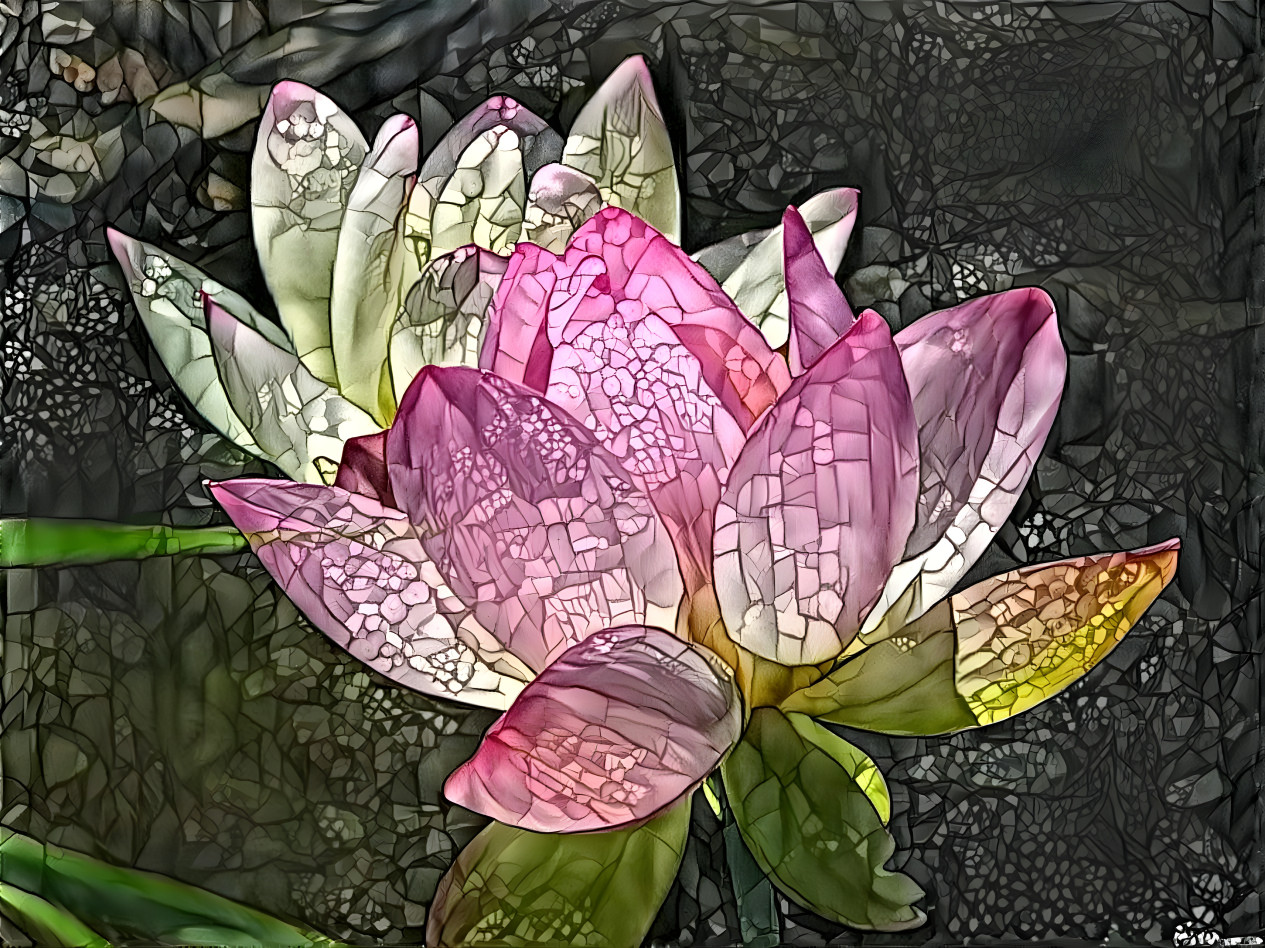 Lotus Chrystal 