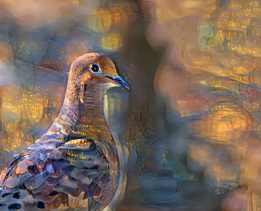 Autumn Mourning Dove