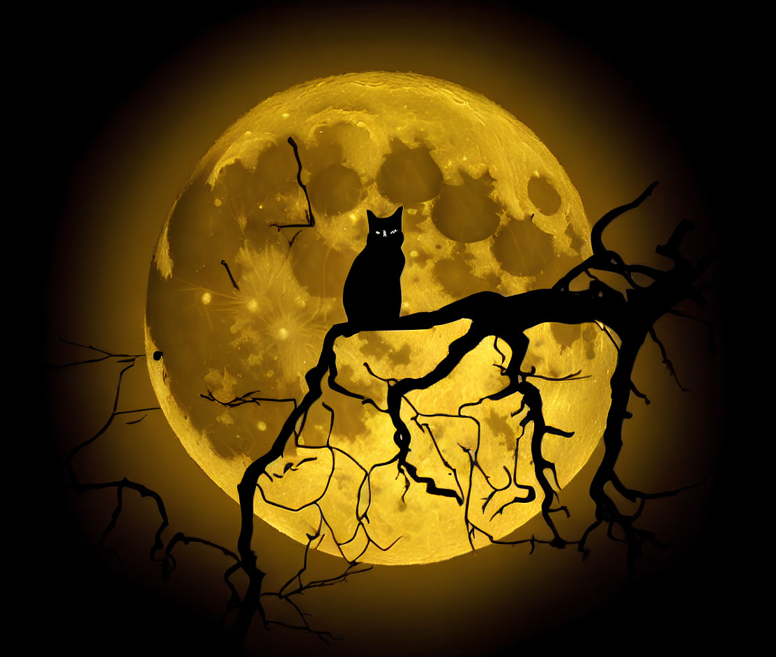 Silhouette of Cat on Twisted Branch Under Full Moon with Golden Glow